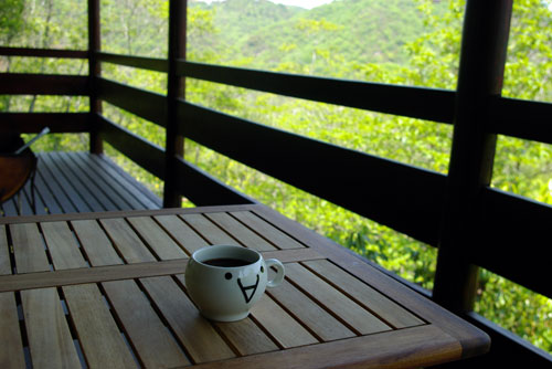 初夏の高原