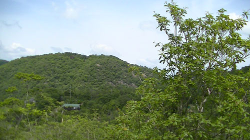 初夏の山