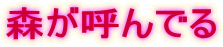 森が呼んでる