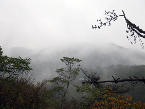 雨の山風景