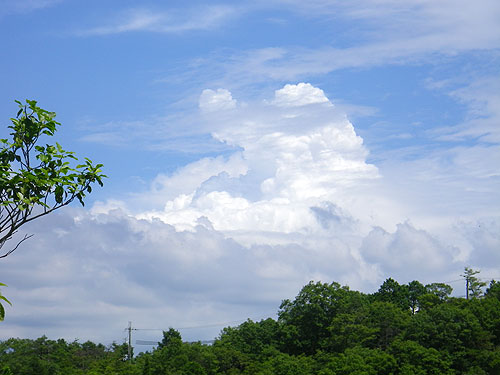 夏空～！